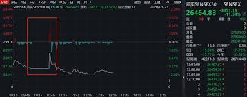 开盘半小时熔断交易竟停止！净值究竟咋算？速来一探究竟！