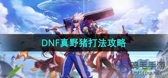 震撼！DNF 真野猪打法全解析，带你轻松通关不是梦