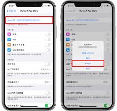 原来的苹果手机忘记id和密码怎么办