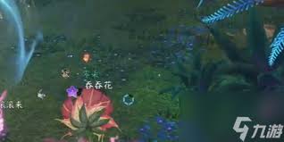 惊爆！逆水寒手游一步到胃成就超全攻略大，助你轻松达成！