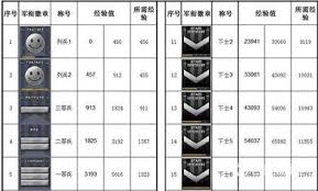 惊爆！cf少尉军衔究竟啥模样，速来一探究竟！