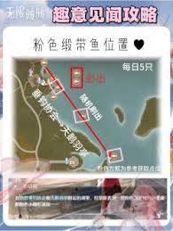 震惊！无限暖暖缎带鱼竟能兑换这些超惊喜物品，速来一览！