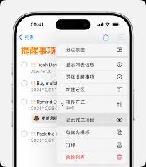 苹果手机设置提醒事项方法大改进：简洁高效凸显核心要点