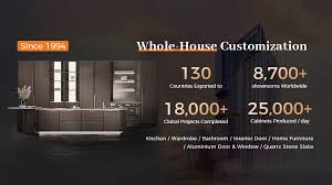 opuai是欧派吗？深度剖析相关疑问