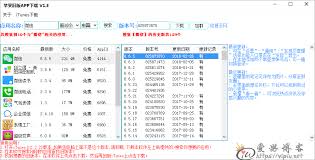 苹果应用下载历史版本全攻略