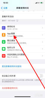 震惊！iPhone 11 pro max应用限额竟有这般神奇设置方法，速来围观！