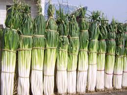 辣椒大葱大幅涨价的主因究竟为何？