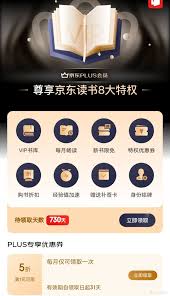 惊爆！京东plus年卡究竟暗藏何种玄机？速来一探究竟！