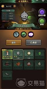 迷雾大陆宠物跟随改进全解析