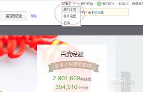 震惊！百度账号背后竟藏着这些秘密，速来一探究竟！