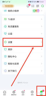 爱奇艺视频去水印文字方法及核心要点解析