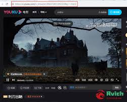 震惊！免费获取多视频网站vip会员账号的超实用秘籍大公开