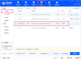 iPhone如何借助AI实现一键消图