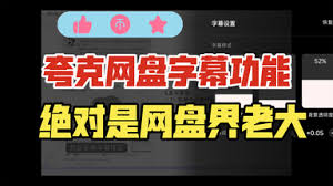 夸克网盘外挂字幕方法及核心要点大