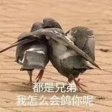 惊爆！放鸽子的定义究竟是什么？速来一探究竟！