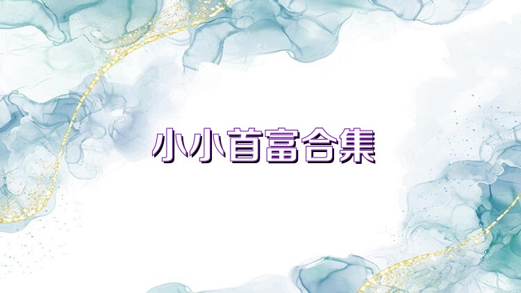 小小首富合集
