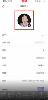 小红书专业号认证攻略：一键解锁如何修改头像，打造吸睛新形象！