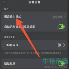 如何在Kook中设置按键说话功能