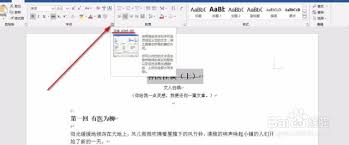Word设置双删除线的详细步骤