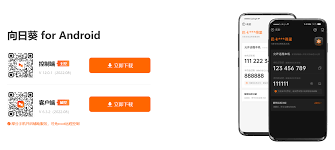 手机版向日葵远程控制：快速查看识别码指南