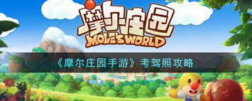 摩尔庄园考驾照全攻略