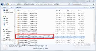 Downloading文件的各种神秘格式与高效管理技巧