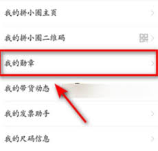 拼多多消费总额查看方法