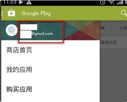谷歌商店信息核对问题：一键速解重新尝试的绝招！