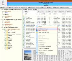 DiskGenius智能加载NTFS分区教程