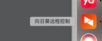 2025年卸载向日葵远程控制软件的详细步骤指南