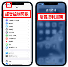 掌握技巧：一键关闭手机智能语音，轻松提升操作便捷性！