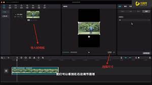 剪映技巧大轻松掌握视频虚化，打造专业级视觉效果！