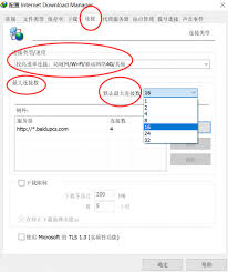 惊爆下载！解锁全新资源，一键获取Downloading文件秘籍