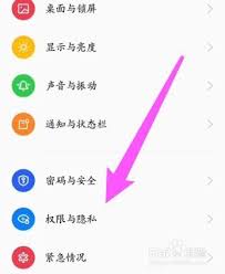 荣耀9x手机秘籍：轻松掌握隐藏应用技巧，守护隐私新境