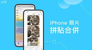 苹果手机照片巧拼接：打造吸睛创意合集的秘诀