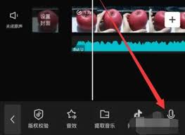 剪映技巧大如何轻松为视频配音增添无限魅力