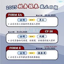 2025个税申报系统全攻略：一站式流程图操作指南，轻松搞定税务申报！