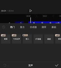 ！剪映人声配音制作技巧，轻松提升视频点击率！