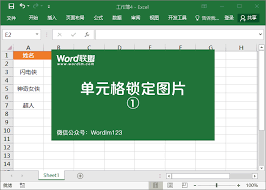 Excel图片自适应单元格：动态调整，一键跟随变化！