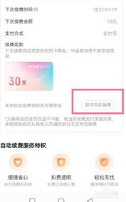 轻松一步！如何快速取消优酷自动续费，省心又省钱指南