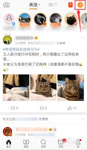 微博九宫格视频发布技巧：一键打造吸睛内容