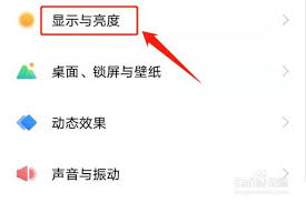 如何将vivo手机从黑白屏调回彩色模式