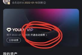 轻松几步！一键取消优酷会员自动续费，告别烦恼高效指南