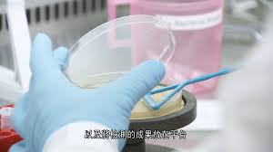 八年精研特定液体成分，精英科学家突破性成果