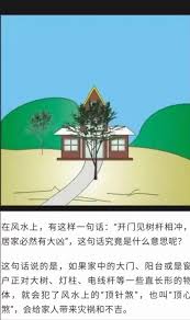 探索大路电线杆背后的秘密景观