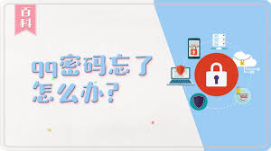 财帮子红太阳账号忘记密码解决方案，快速找回方法