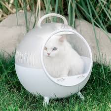 猫包网改编产品真实性详细解析