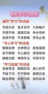 勤学不辍，态度决定高度：解锁学习新境