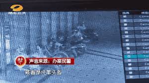 惊爆！自制万能钥匙5秒速开各种锁具，安全警报大升级！