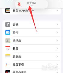 一键静音！轻松关闭苹果截屏声音提示的巧妙方法
